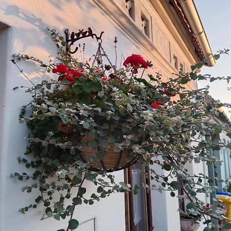 SRDEČNÁ - rodinný penzion a restaurace Novy Prerov Esterno foto