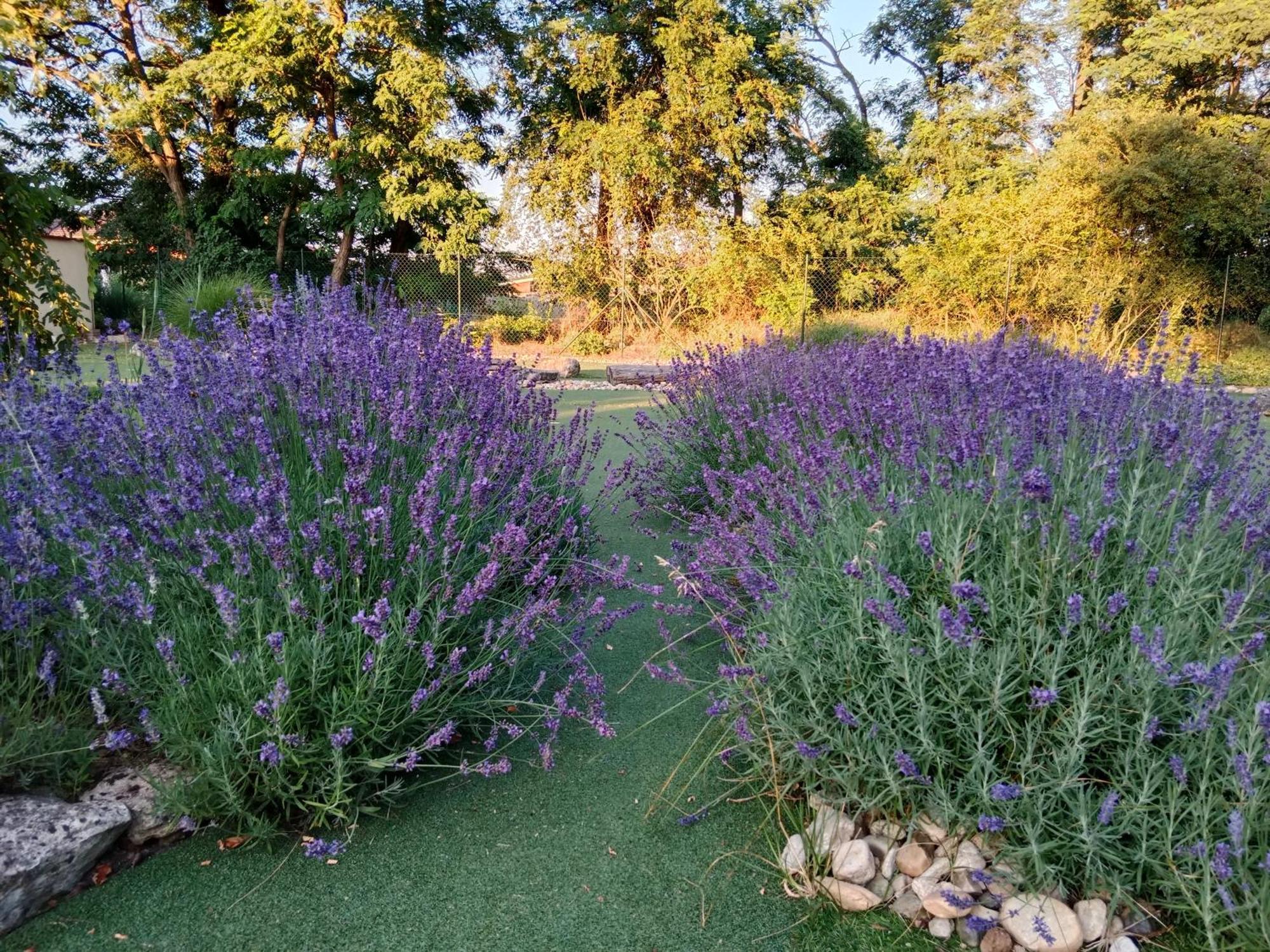 SRDEČNÁ - rodinný penzion a restaurace Novy Prerov Esterno foto