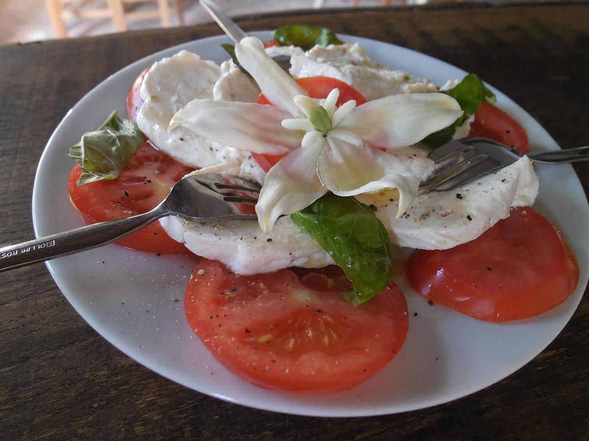 SRDEČNÁ - rodinný penzion a restaurace Novy Prerov Esterno foto
